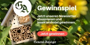 Gewinnspiel GA Bonn Insektenhotels SWB Klimaperspektiven